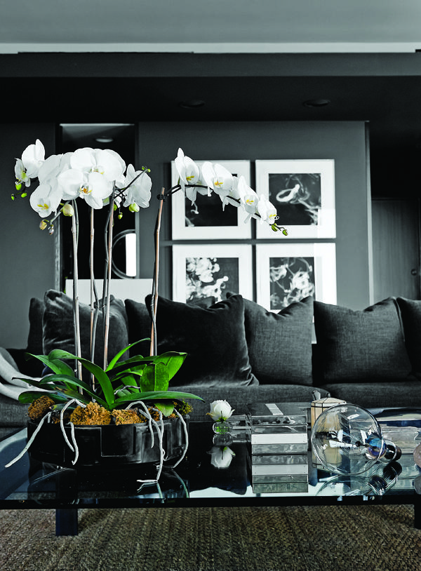 use orquídeas para decorar a sala